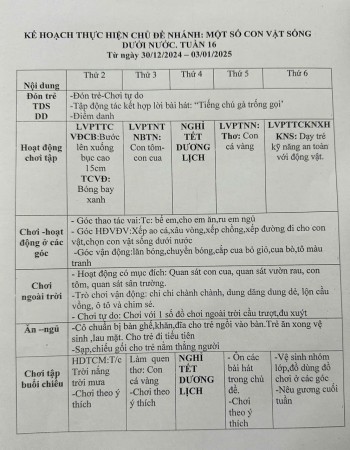 tuần 16