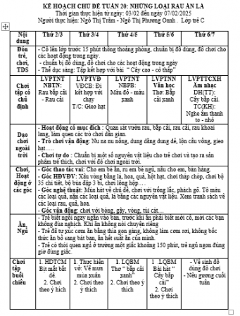 KH TUẦN 20  TRẺ C