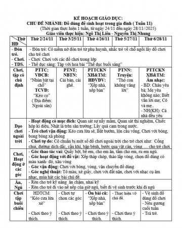 KẾ HOACH TUẦN 11, LỚP TRẺ E