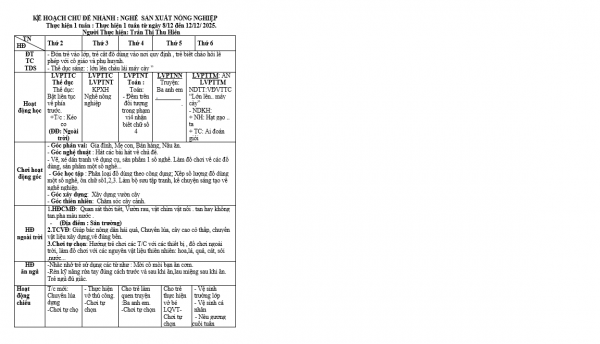 KẾ HOẠCH TUẦN 13 CHỦ ĐỀ NGÀNH NGHỀ TỪ NGAỲ 8/12- 12/12 NHỠ A-