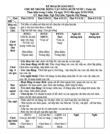 KẾ HOẠCH TUẦN 16, TRẺ E