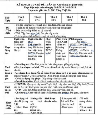 Kế hoạch tuần 20 chủ điểm thực vật lớp lớn E . Tăng Liên