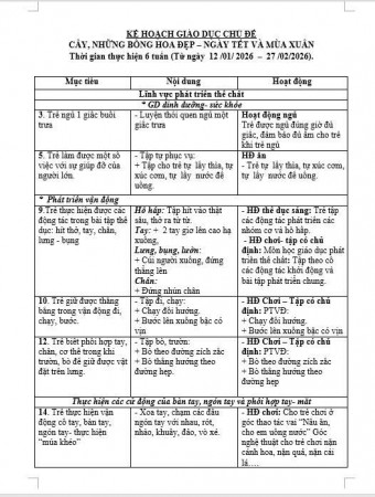 KẾ HOẠCH GIÁO DỤC CHỦ ĐỀ THỰC VẬT TRẺ E