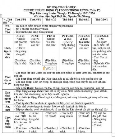 KẾ HOẠCH TUẦN 17, TRẺ E