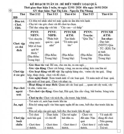 KẾ HOẠCH TUẦN 18, LỚP TRẺ E