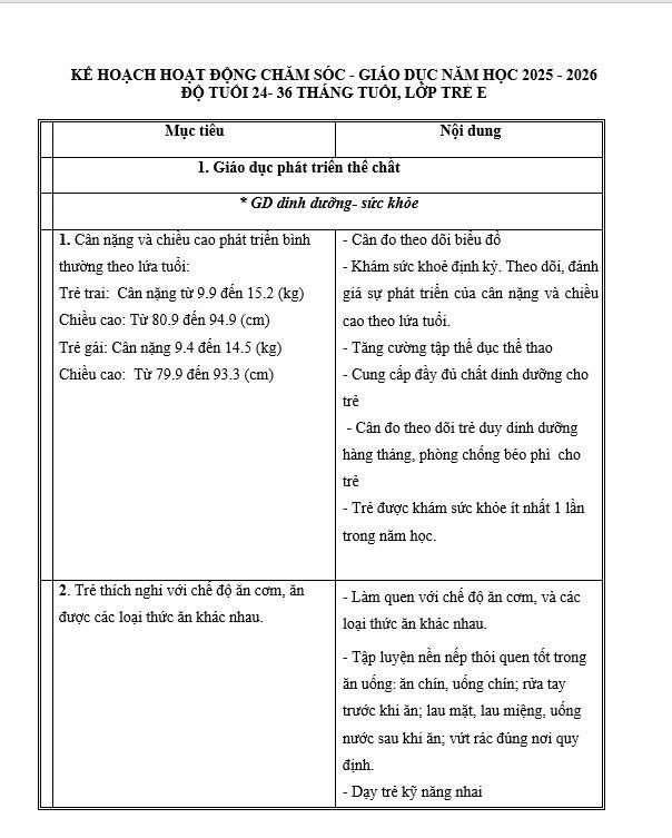 KẾ HOẠCH CHĂM SÓC GIÁO DỤC NĂM HỌC TRẺ E
